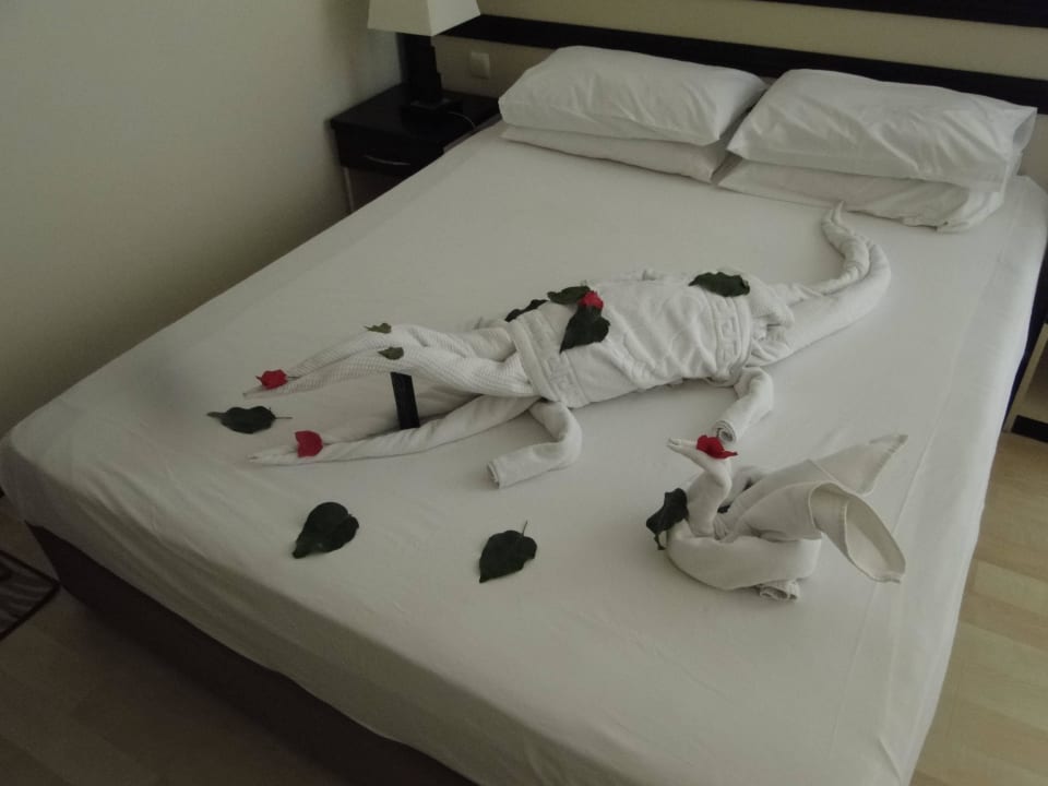 Ein kunstwerk Hotel Orfeus Park