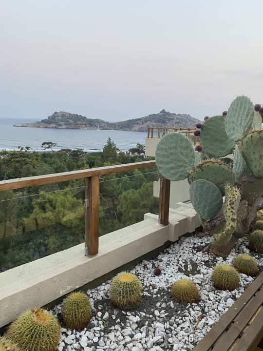 Ausblick TUI MAGIC LIFE Sarigerme