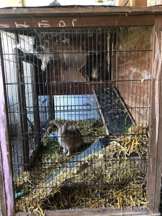 Sonstiges Gut Berg Naturhotel