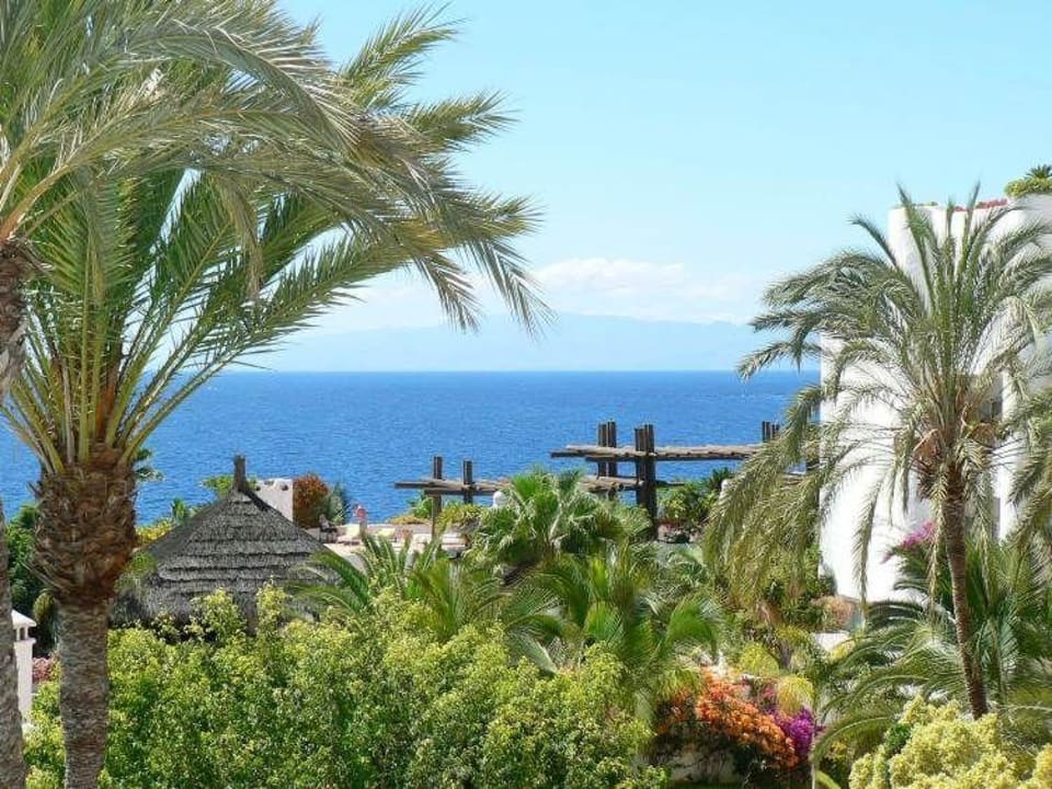 Gartenanlage Jardin Tropical Dreams Jardín Tropical