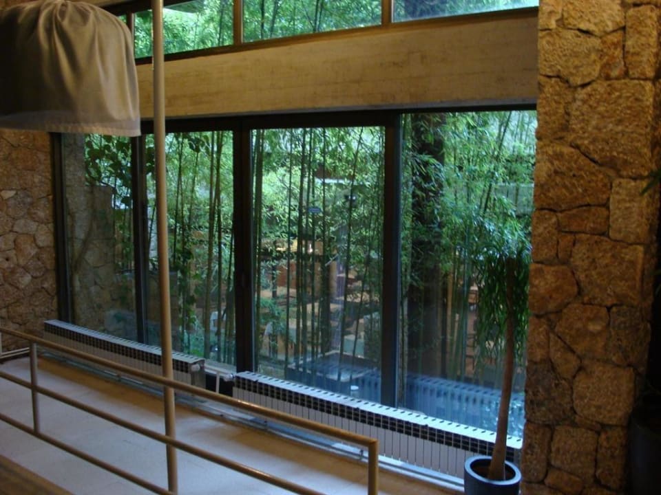 Bambusgarten im Hotel Bluesun Hotel Soline