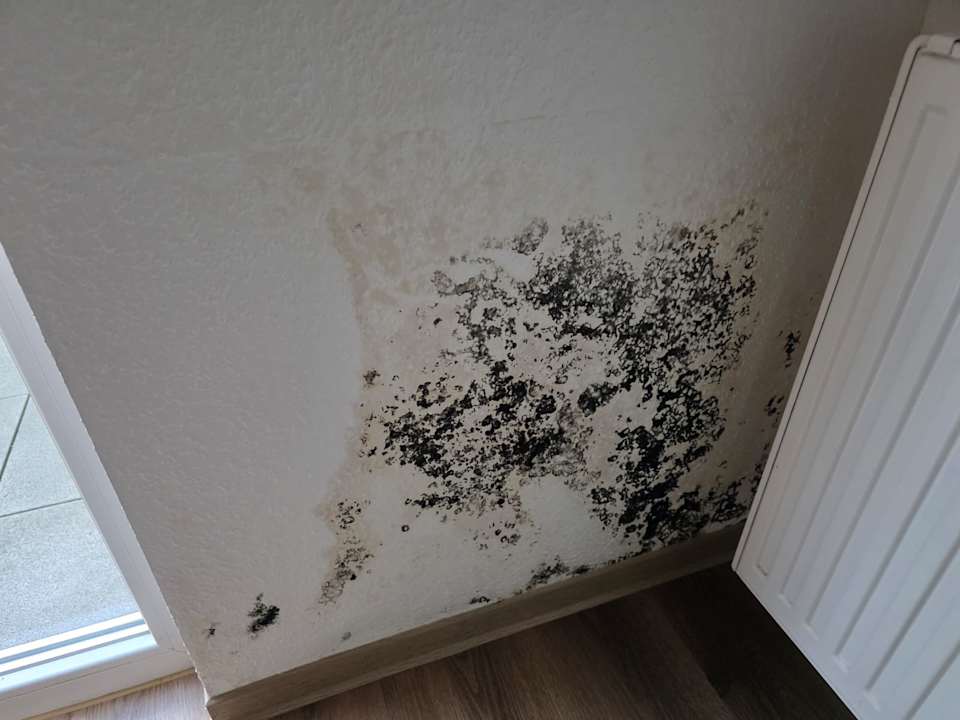 Zimmer Center Parcs Park Bostalsee