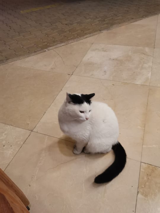 Sonstiges VONRESORT Golden Coast