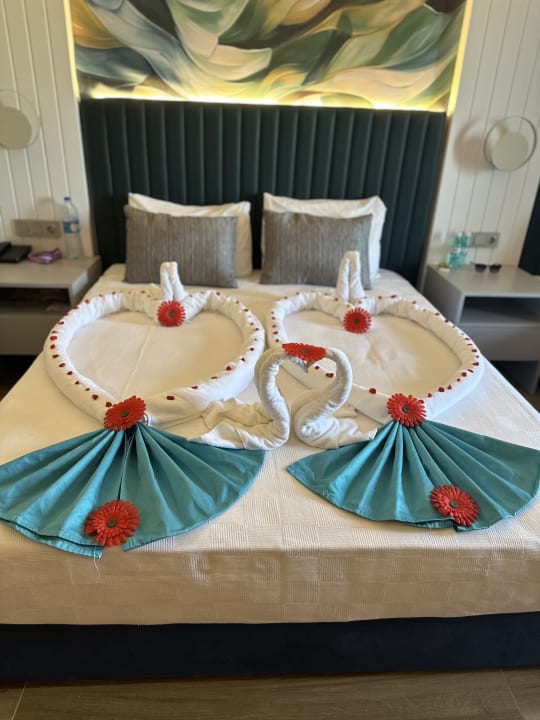 Zimmer Dream Fun World