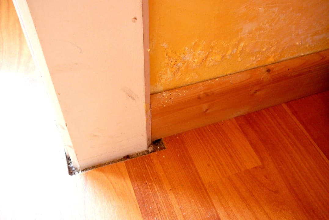 Die Wandfarbe blättert ab. Rundlingsdorf Sagasfeld