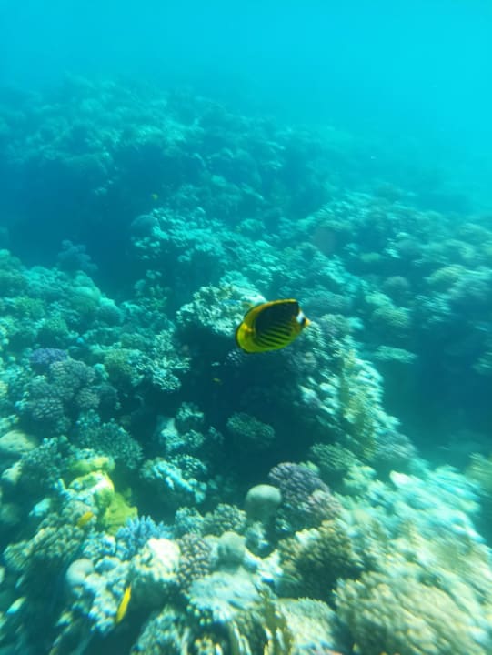 Sport & Freizeit Grand Makadi