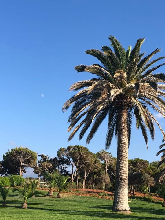 Gartenanlage Anissa Beach & Village