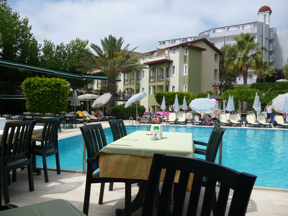Terrasse mit Blick auf den Pool Hotel Gardenia Beach