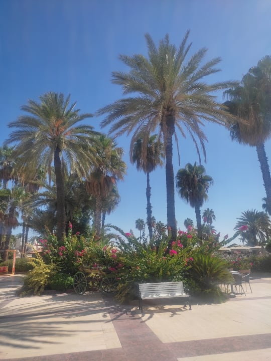 Gartenanlage Adora Hotel & Resort