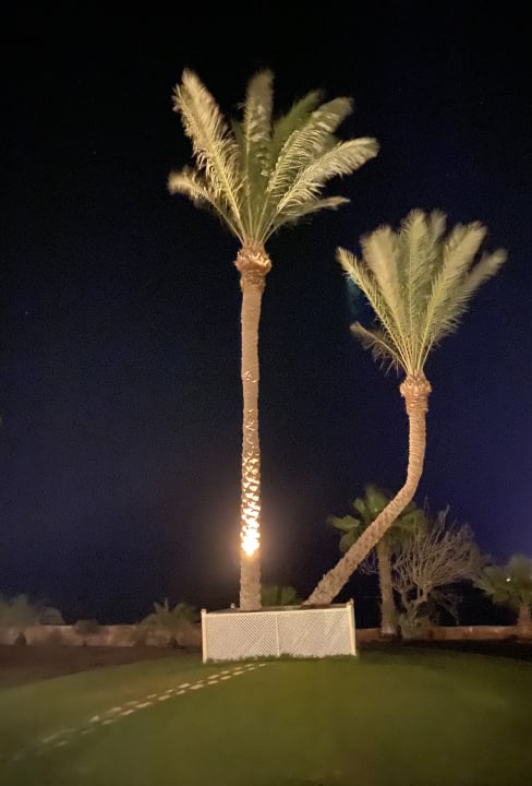 Gartenanlage Steigenberger Coraya Beach - Adults only