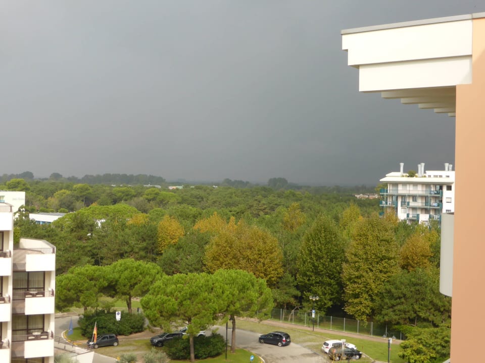 Ausblick zur Landseite Aparthotel Holiday