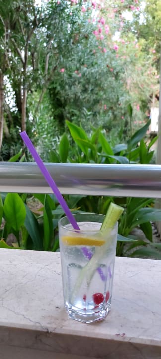 Gartenanlage Club Sidelya Hotel