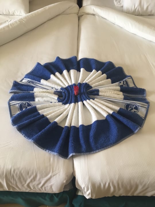 Zimmer Serenity Alma Heights