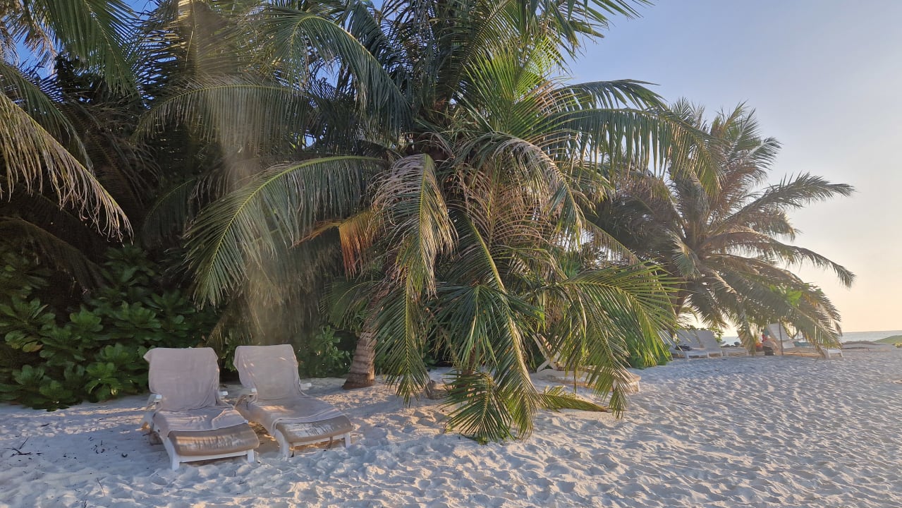 Strand Summer Island Maldives