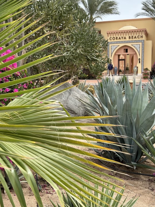 Gartenanlage Steigenberger Coraya Beach - Adults only