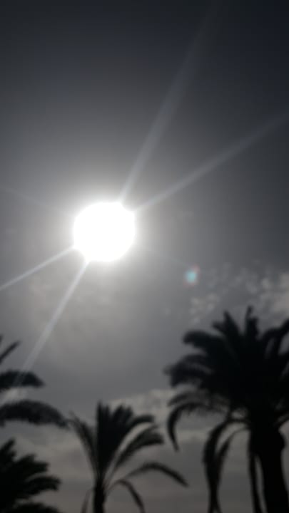 Gartenanlage Hotel Riu Oliva Beach - Hotel