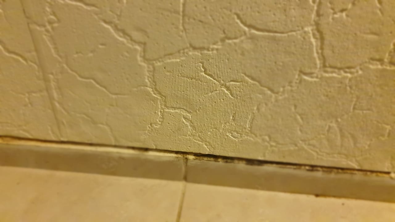 Zimmer Side Miami Beach