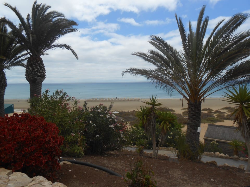 Blick aufs Meer SBH Monica Beach Resort