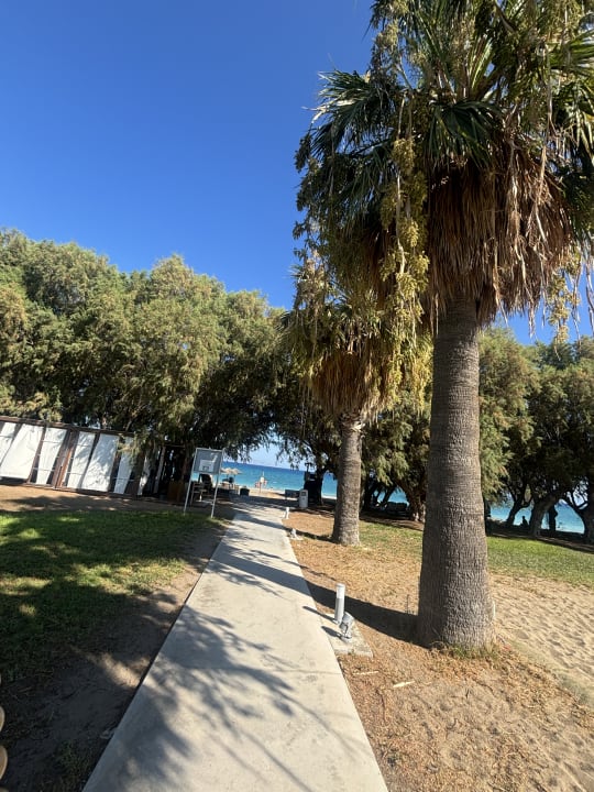 Gartenanlage TUI KIDS CLUB Alex Beach