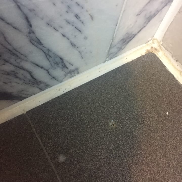 Zimmer Asteria Collection Side