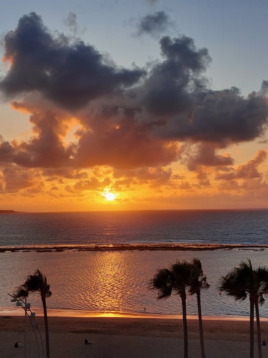 Ausblick Bull Reina Isabel & Spa