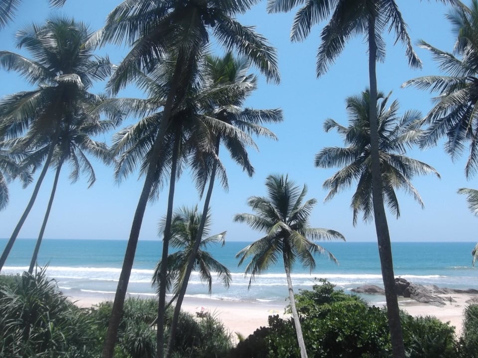 Ausblick vom Pool zum Strand Taj Bentota Resort & Spa