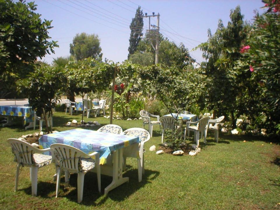 Hotel Limon Hotel Limon