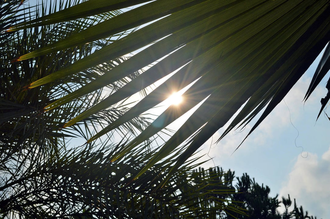 Im Garten Club Turtas Beach Hotel