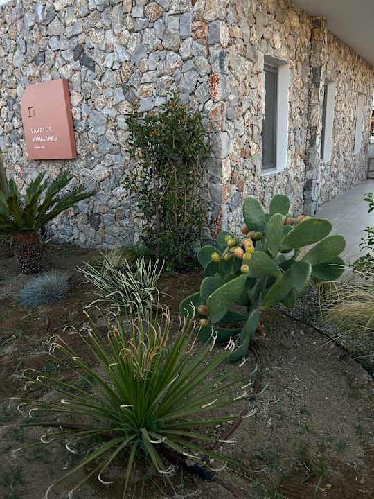 Außenansicht Paralos Kyma Dunes