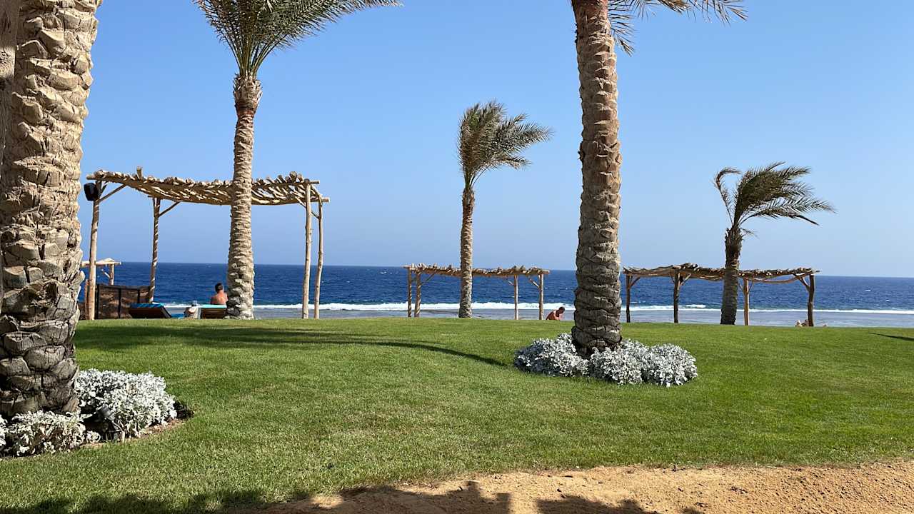 Strand Steigenberger Resort Alaya Marsa Alam - Red Sea - Adults only