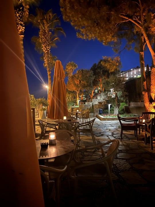 Gastro Arum Barut Collection