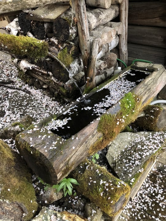 Gartenanlage Natur & Wellnesshotel Höflehner