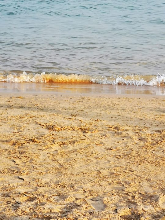 Strand Sentido Caribbean World Soma Bay