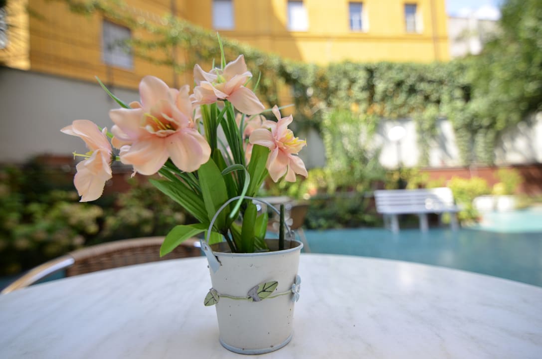 Gartenanlage Hotel Tirreno