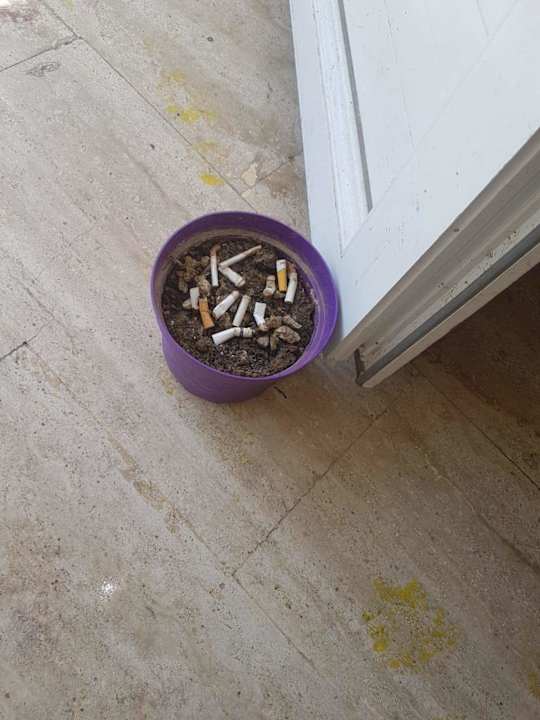 Zimmer Hotel Ideal Beach