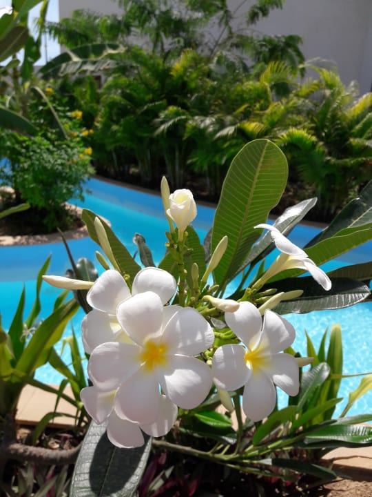 Sonstiges Millennium Resort Salalah