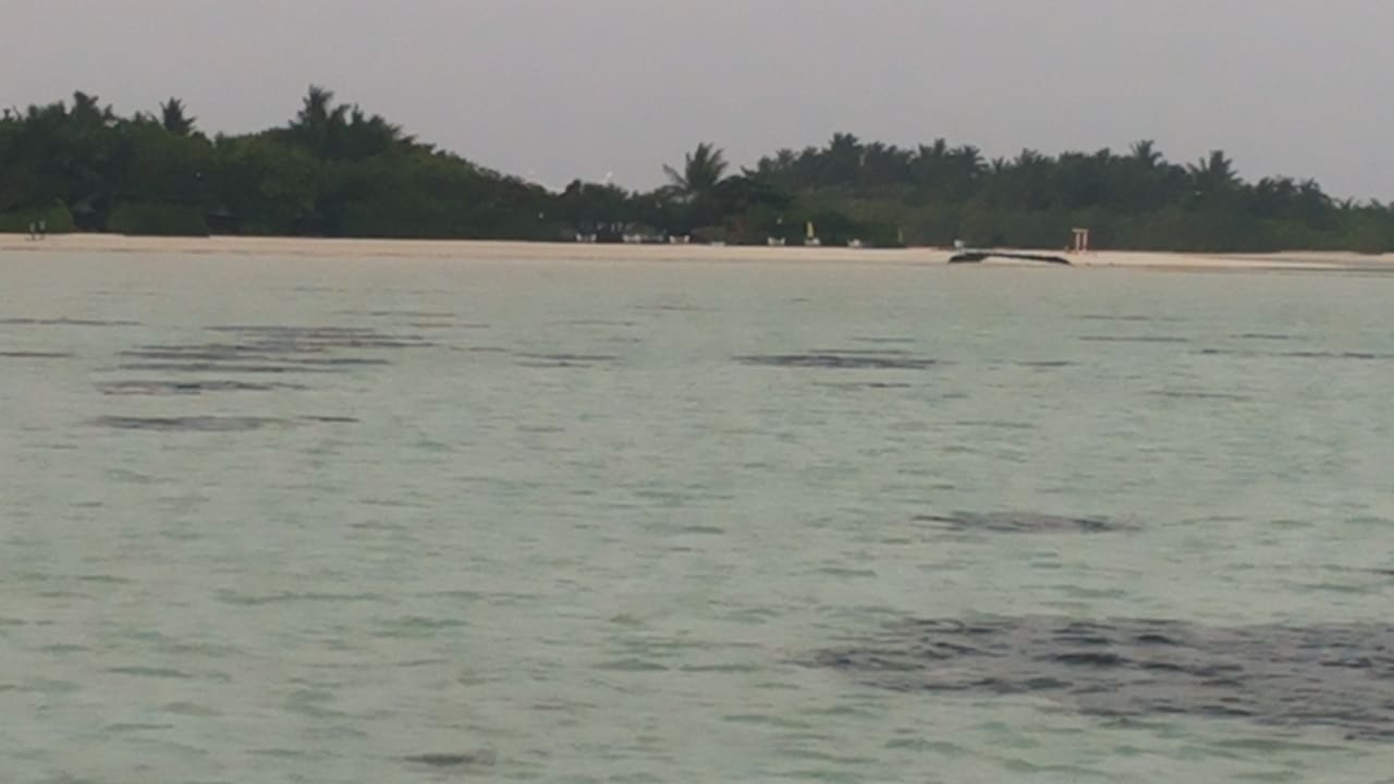 Strand Cinnamon Hakuraa Huraa Maldives