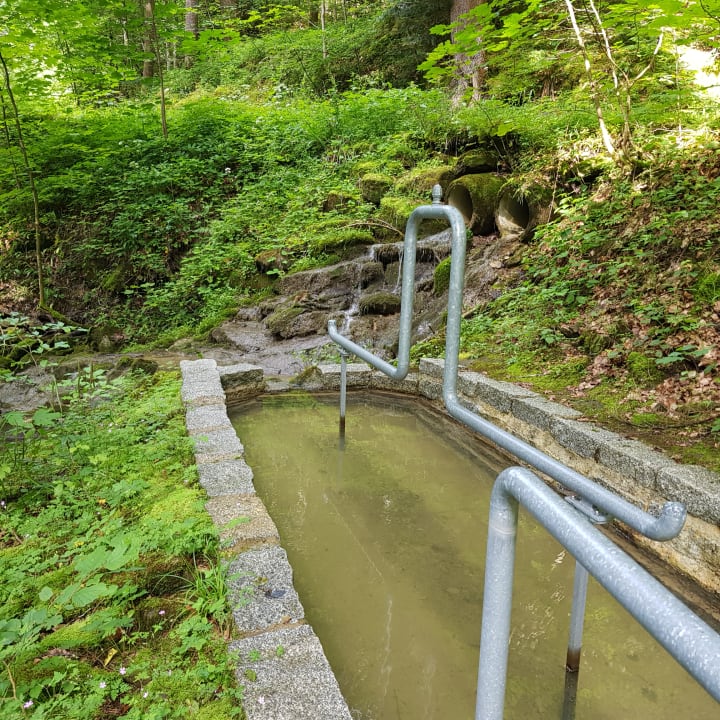 Gartenanlage Haubers Naturresort