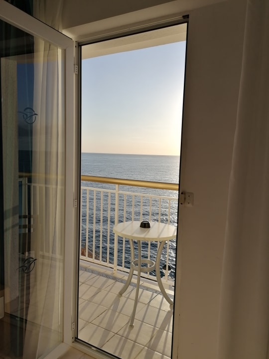 Zimmer Globales America