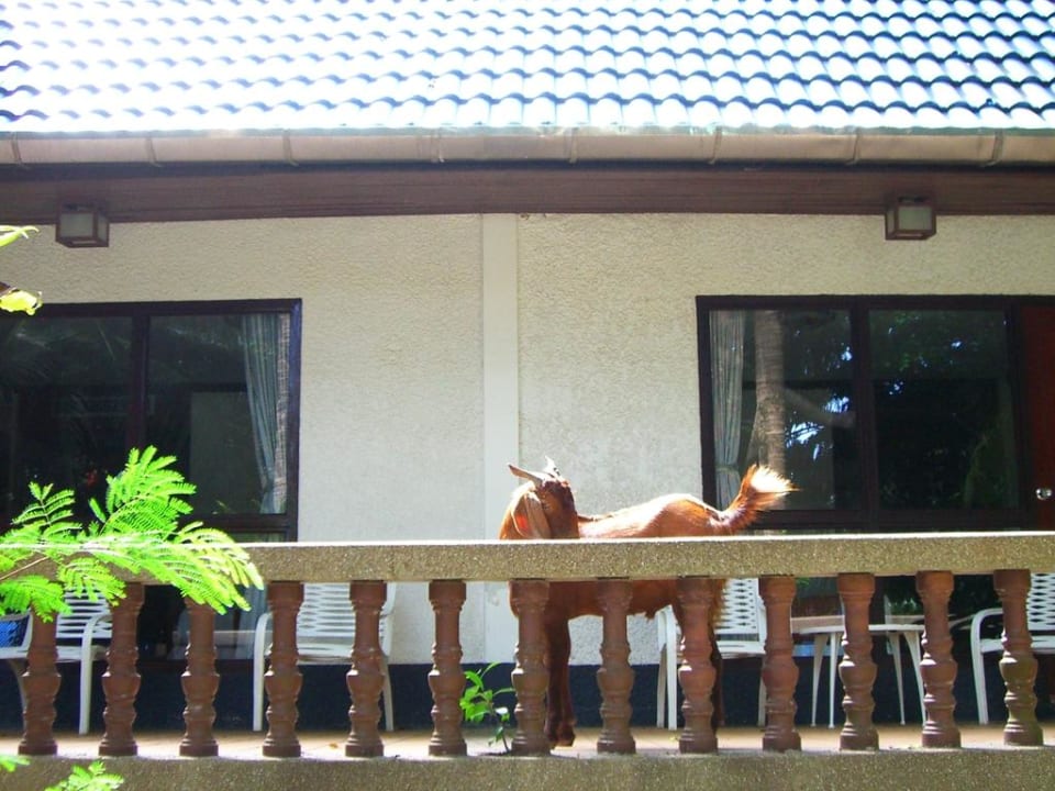 La mia stanza Hotel Coral Island Resort