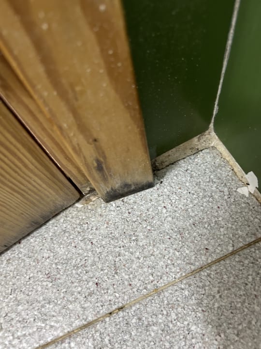 Zimmer Gavimar Ariel Chico Club & Resort