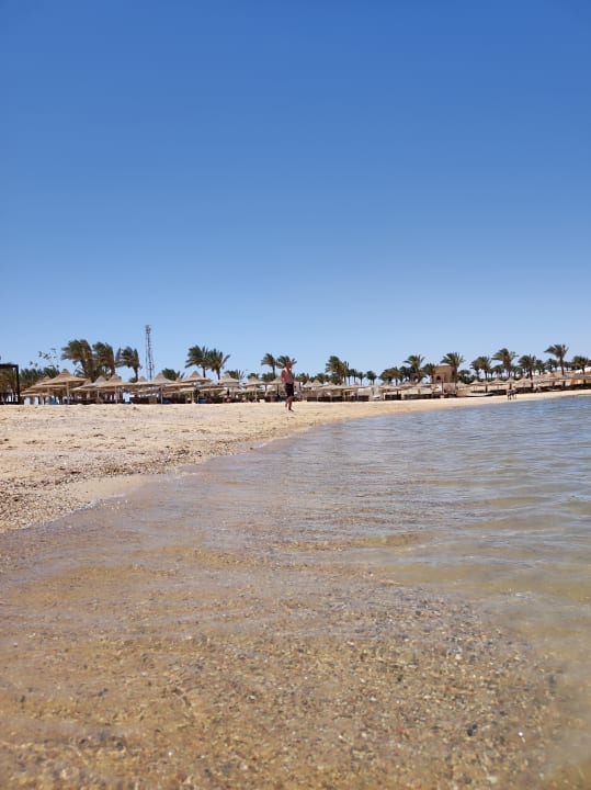 Strand Steigenberger Resort Alaya Marsa Alam - Red Sea - Adults only