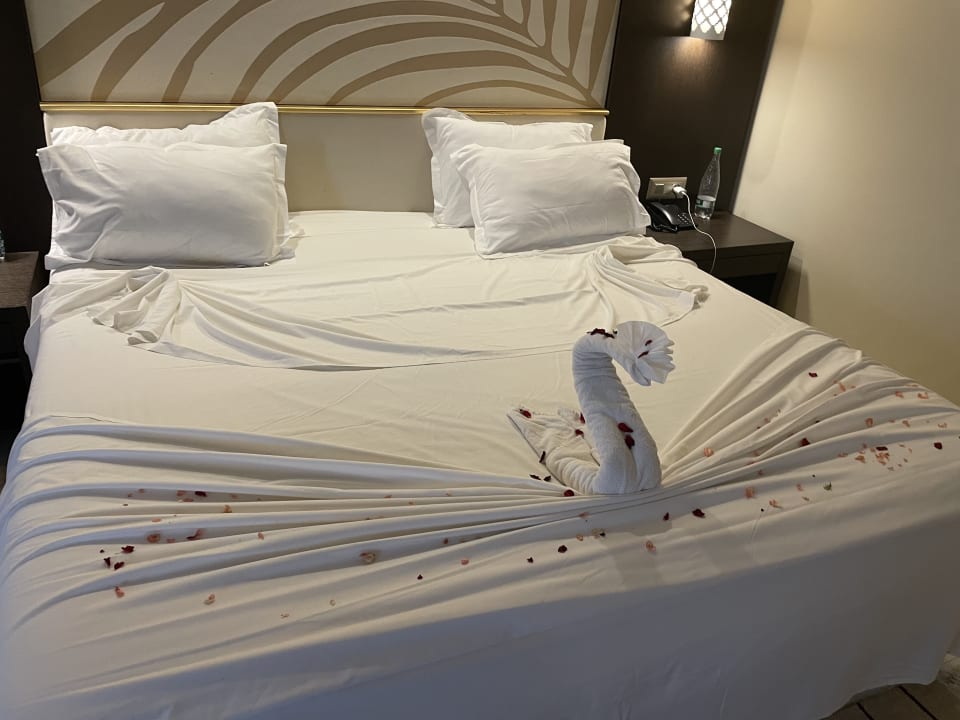 Zimmer Iberostar Selection Kuriat Palace