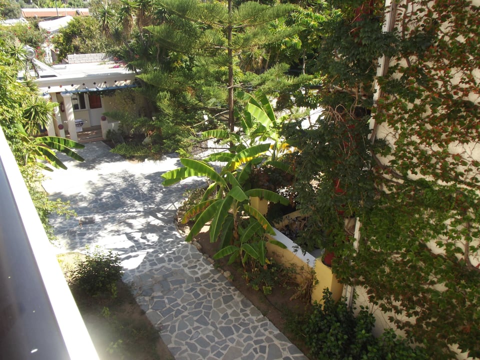 Außenansicht Apollon Hotel