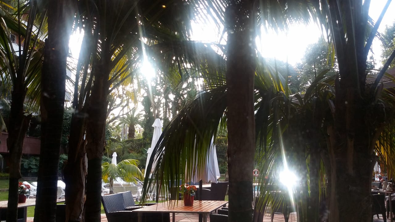 Ausblick Hotel Botanico & The Oriental Spa Garden
