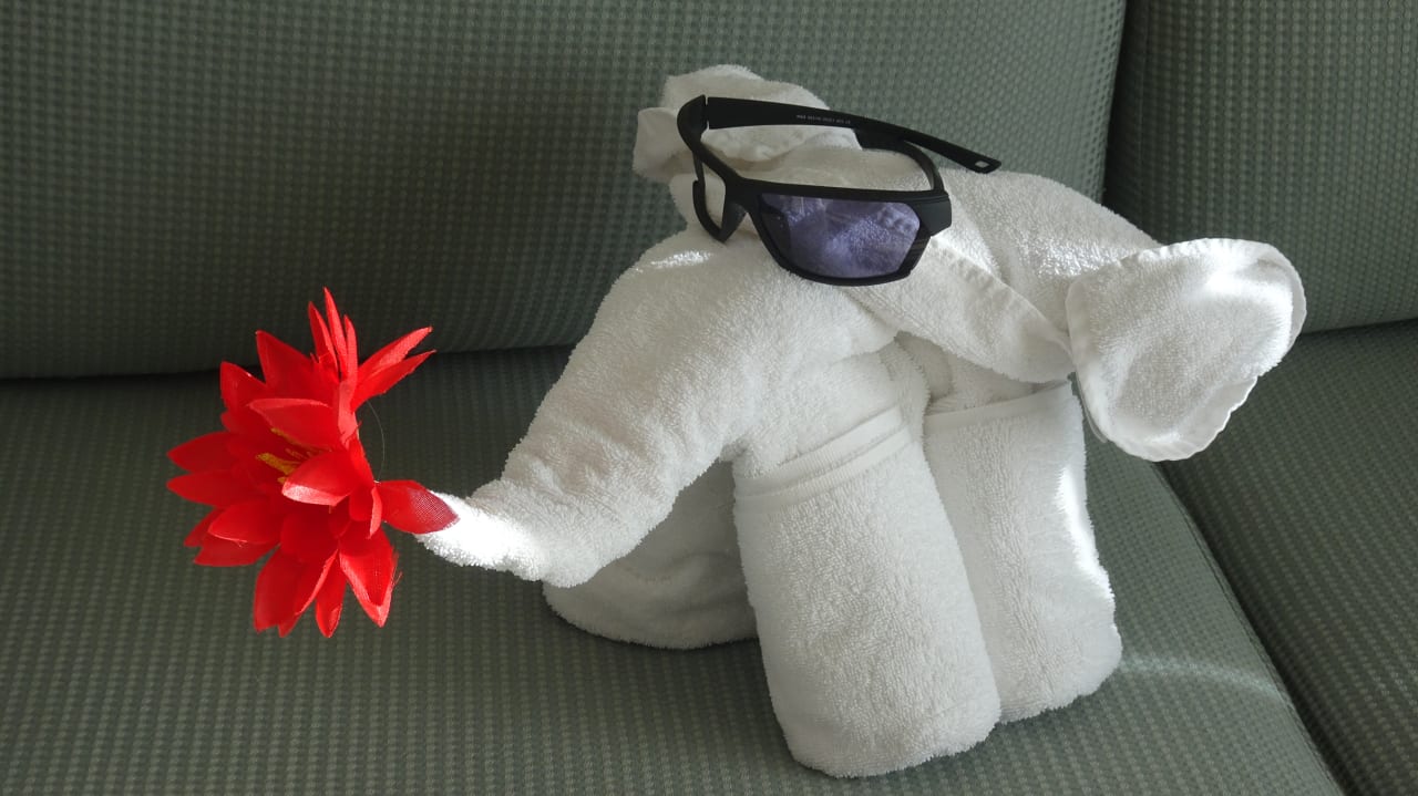 Zimmer Meliá Sunny Beach