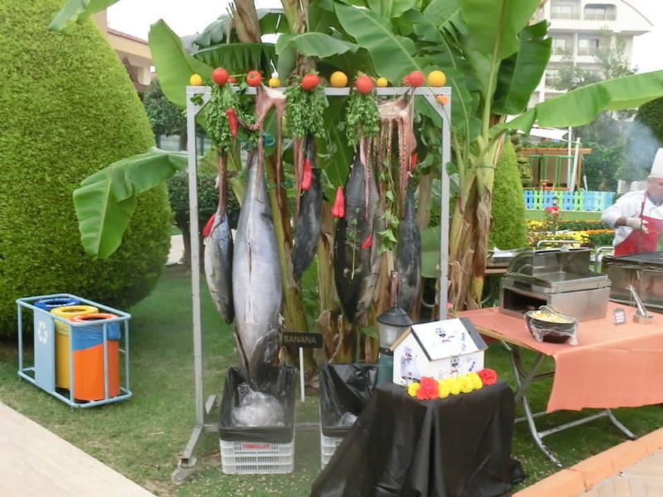 Frisch Fisch Grand Seker Hotel