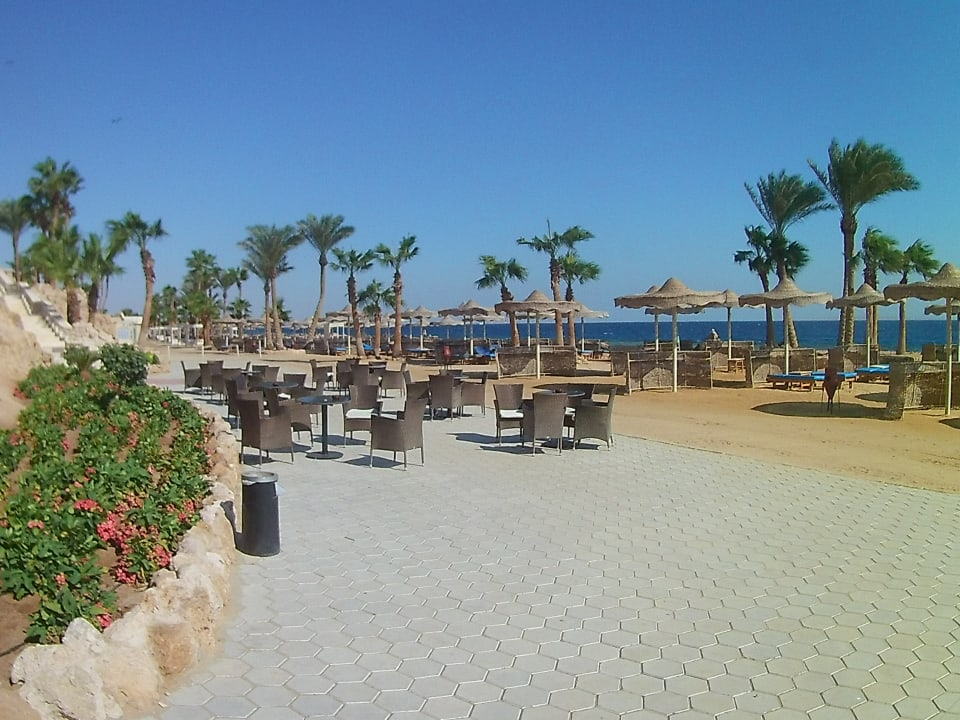 Strand Pickalbatros Citadel Resort