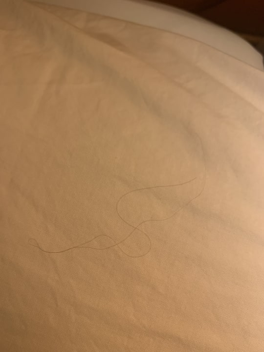 Zimmer Hotel Il Palagetto