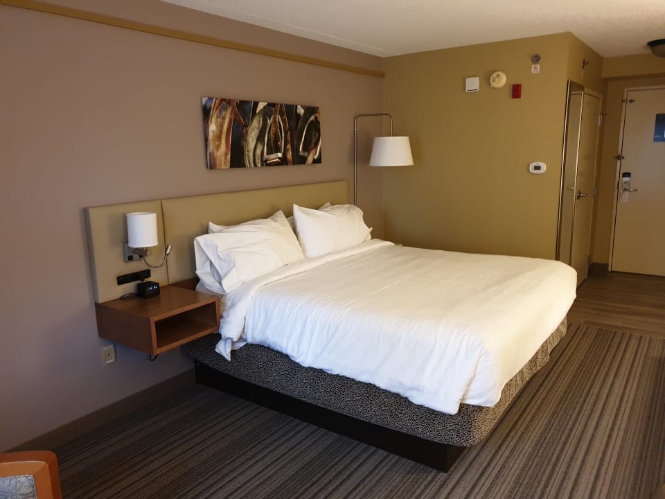 Zimmer Hotel Hilton Garden Inn Saratoga Springs